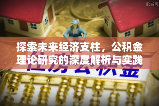 曲水探索未来经济支柱，公积金理论研究的深度解析与实践意义