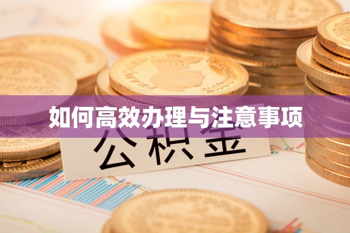 曲水如何高效办理与注意事项