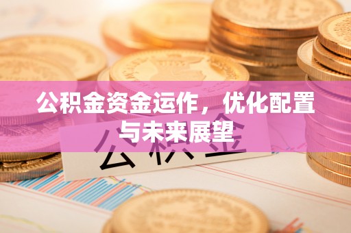 曲水公积金资金运作，优化配置与未来展望