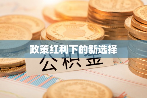 曲水政策红利下的新选择