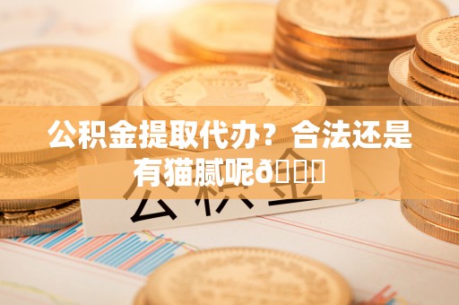 曲水公积金提取代办？合法还是有猫腻呢😏