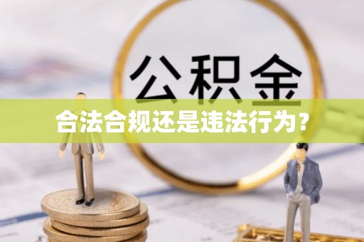 曲水合法合规还是违法行为？