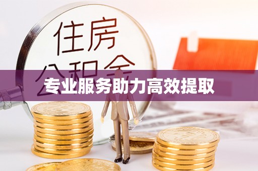 曲水专业服务助力高效提取