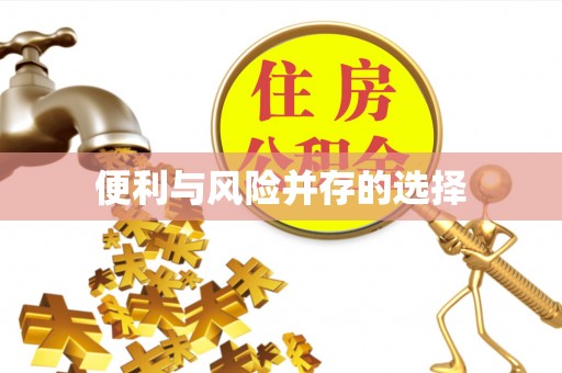 曲水便利与风险并存的选择