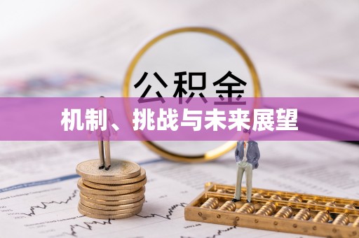 曲水机制、挑战与未来展望