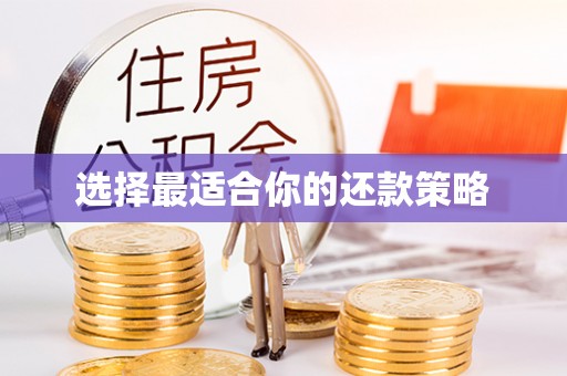 曲水选择最适合你的还款策略